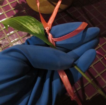 Corona di fiori per il matrimonio con le proprie mani