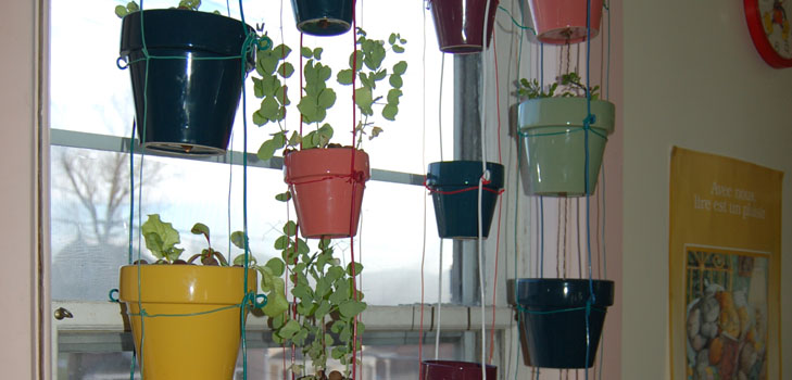 Coltivare verdure sul davanzale della finestra