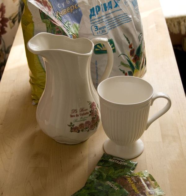 Coltivazione di rucola in condizioni di casa Coltivazione di rucola in condizioni di casa