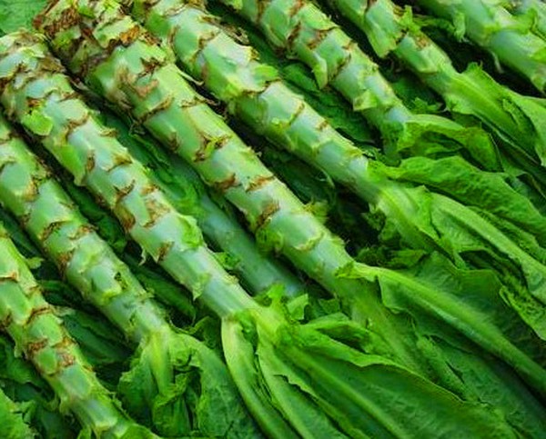 Insalata crescente in teoria e pratica, consigli utili e raccomandazioni