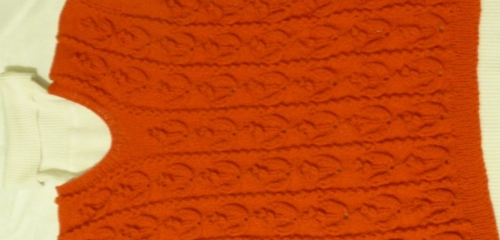 Maglia con aghi a maglia: diagramma, foto, video. Master-class a maglia una maglia a maglia