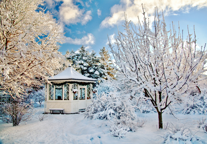 Inverno in giardino