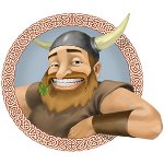 Programma di promozione dei gruppi VKontakte: Viking Botvodov