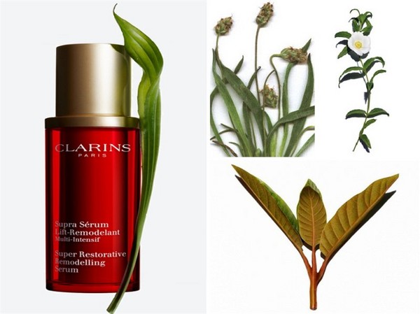 Circuito ideale: modellare il siero Clarins Multi-Intensif