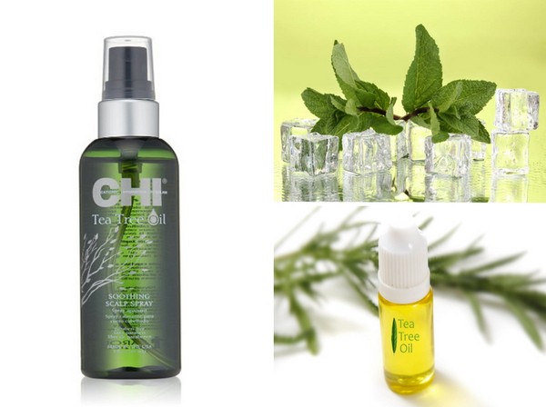 Idratante estiva: una collezione di cura dei capelli SHI Tea Tree Oil