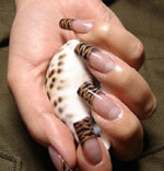 Manicure alla moda in autunno 2010 Manicure alla moda in autunno 2010