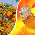 Olio di olivello spinoso per capelli Olio di olivello spinoso per capelli