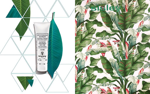 Olio-controllo: una linea aggiornata di resine tropicali Sisley per la pelle grassa
