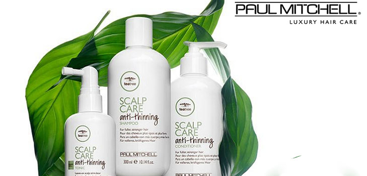 La forza del capello dalla radice alla punta: Una serie di Paul Mitchell Tea Cura del cuoio capelluto Albero
