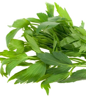 Infusione d'amore