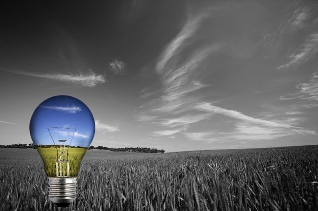 La lampadina fa un colore bianco e nero