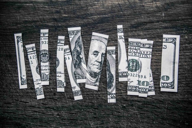 La banconota da un dollaro tagliata