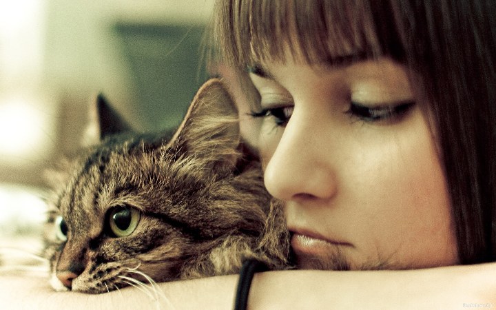 Il risentimento. Come evitarli. Come smettere di essere offeso