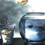 Comfort Zone: come espandere?
