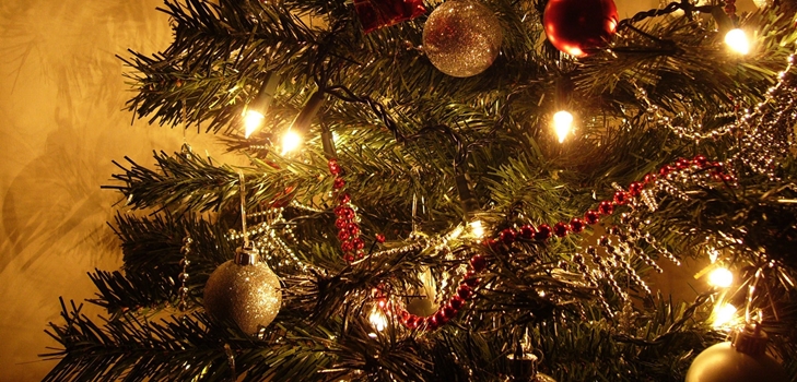 Cosa fare con l'albero dopo il nuovo anno
