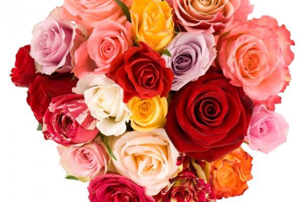 San Valentino 2016: regali originali e i migliori saluti in versi