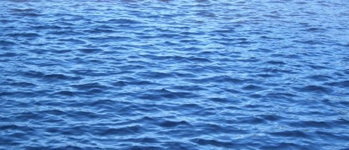 Fatti sull'acqua che tutti dovrebbero sapere
