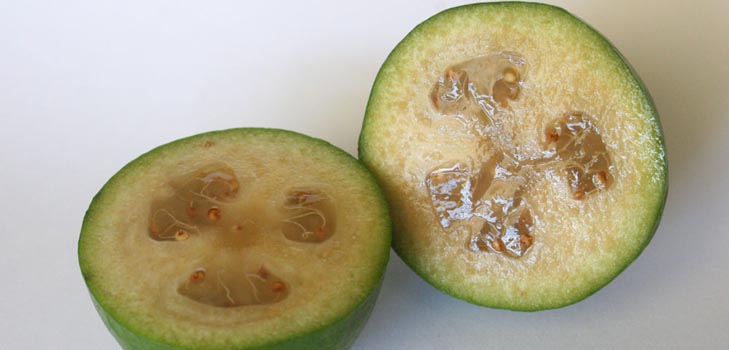 Feijoa - proprietà utili, benefici e danni di feijoa