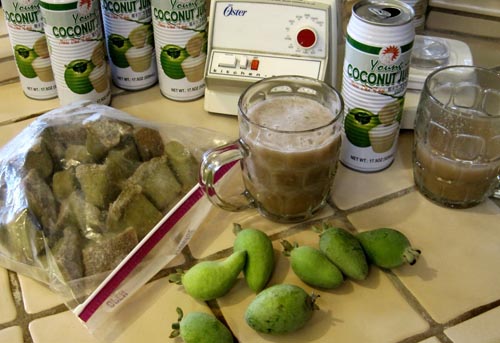 Feijoa - proprietà utili, benefici e danni di feijoa