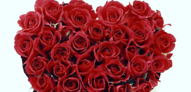 Come congratularmi con una ragazza per San Valentino: i modi migliori