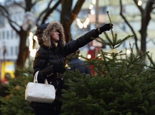 Come fare un albero durare più a lungo