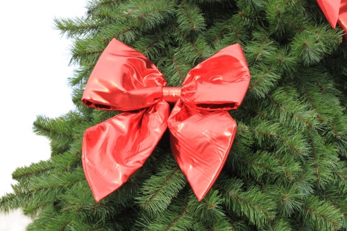 Come fare un albero durare più a lungo