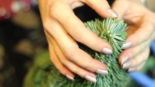 Come fare un albero durare più a lungo