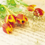 Come mantenere freschi i fiori tagliati?