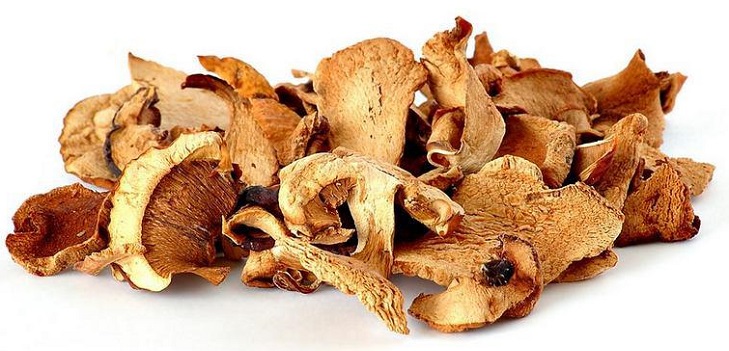 Come secco i funghi