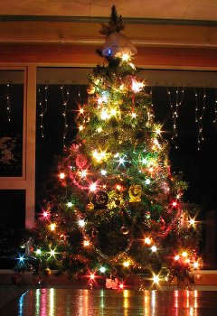 Come decorare un albero di Natale Come decorare un albero di Natale