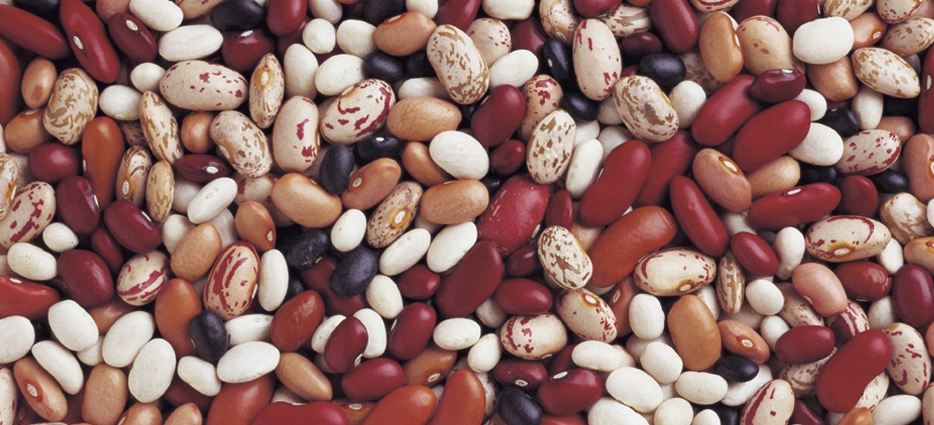 Come cucinare i fagioli