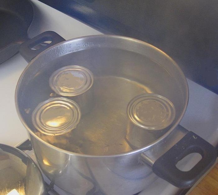 Come cucinare il latte condensato in una lattina?