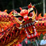 Come incontrare l'Anno del Drago