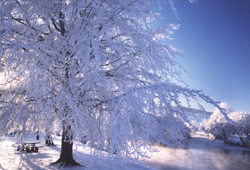Quale sarà l'inverno 2014-2015, previsioni del tempo