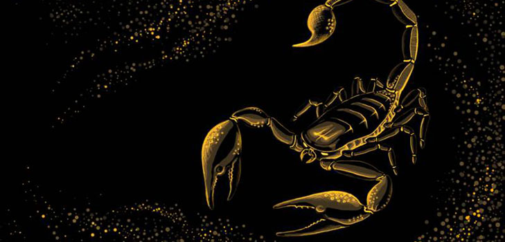 Quali sono i segni dello zodiaco per un uomo dello Scorpione?