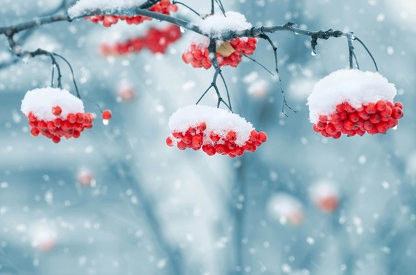 Quale sarà l'inverno 2017-2018 in Russia e Ucraina - la previsione più accurata del Centro Idrometeorologico