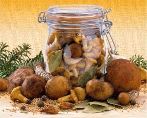 Funghi in scatola per l'inverno