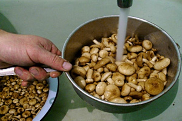 Funghi in scatola per l'inverno