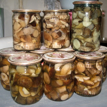 Funghi in scatola per l'inverno