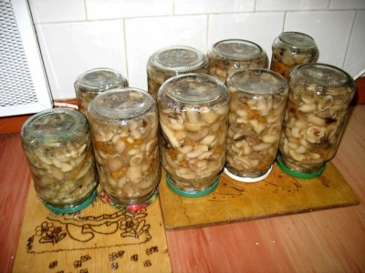 Funghi in scatola per l'inverno