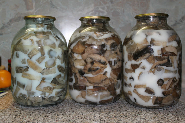 Funghi in scatola per l'inverno