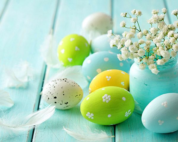 Congratulazioni per Pasqua 2017 - Insomma