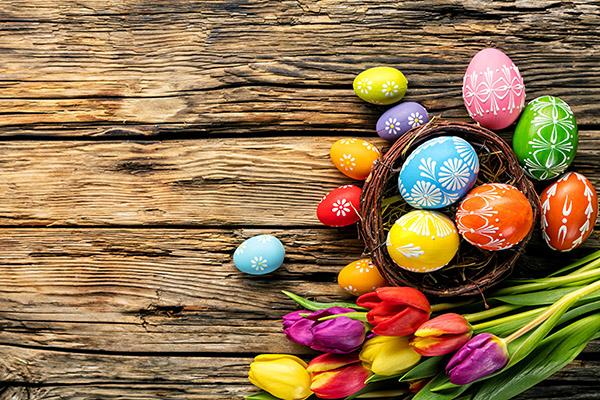 Congratulazioni per Pasqua 2017 - Insomma