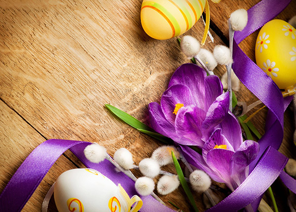 Congratulazioni per Pasqua 2017 - Insomma