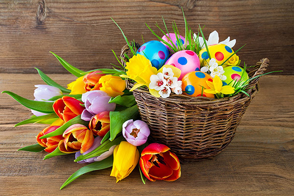 Congratulazioni per Pasqua 2017 - Insomma