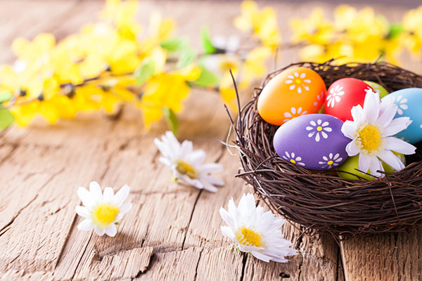 Congratulazioni per Pasqua 2017 - Insomma