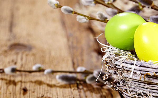 Congratulazioni per Pasqua 2017 - Insomma