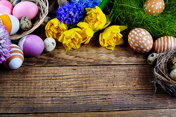 Congratulazioni per Pasqua 2017 - Insomma