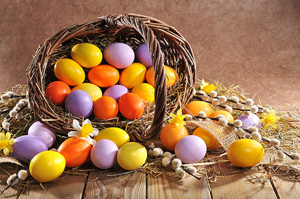 Congratulazioni per Pasqua 2017 - Insomma