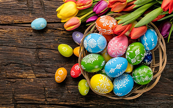 Congratulazioni per Pasqua 2017 - Insomma